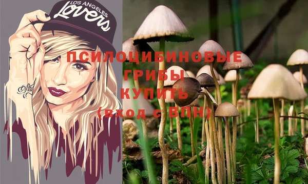 скорость Белокуриха