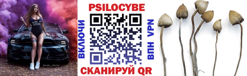 Галлюциногенные грибы Psilocybe  Гусев 