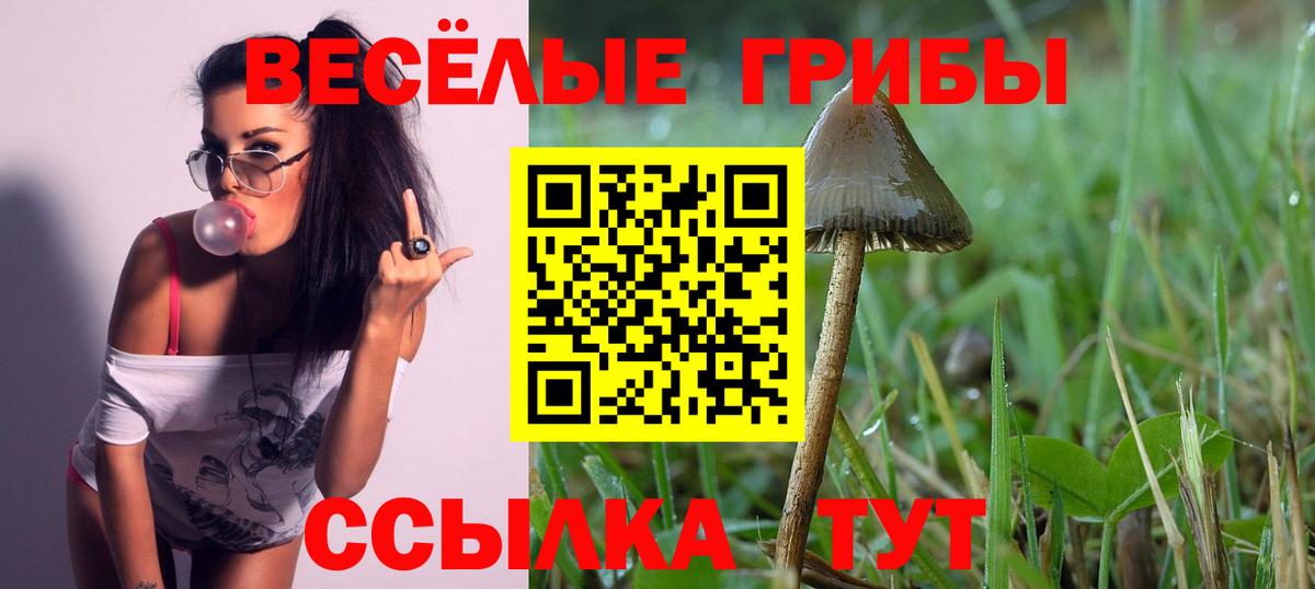 Гусев  Галлюциногенные грибы мухоморы  наркошоп  Вход с VPN  Псилоцибиновые грибы ЛСД 